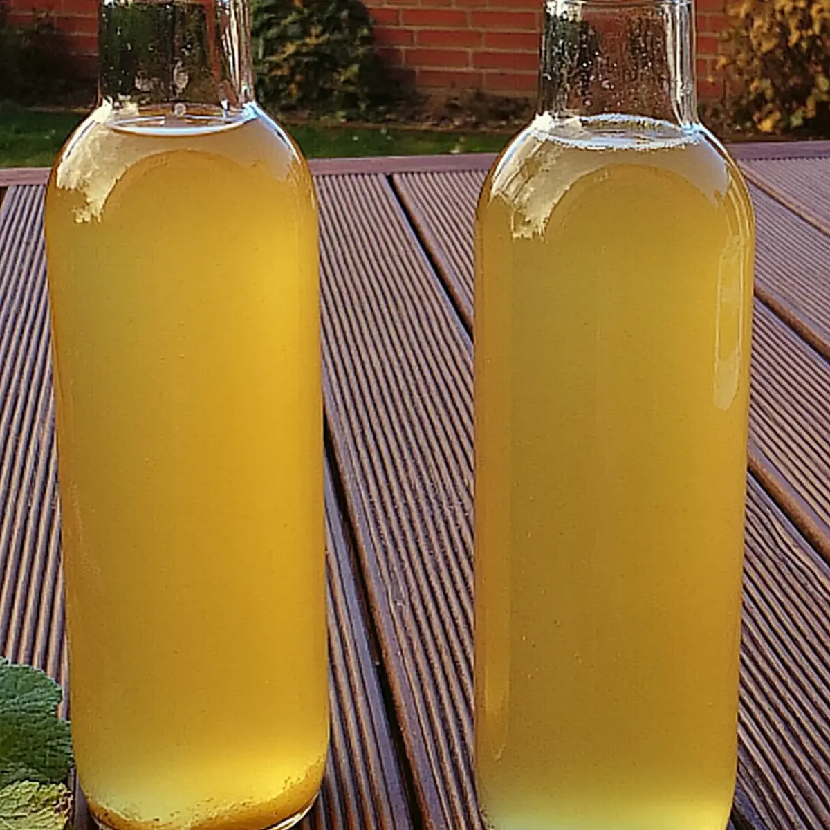 Minze Zitronenmelisse Sirup